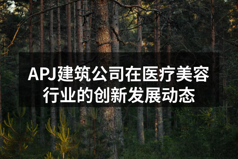 APJ建筑公司在医疗美容行业的创新发展动